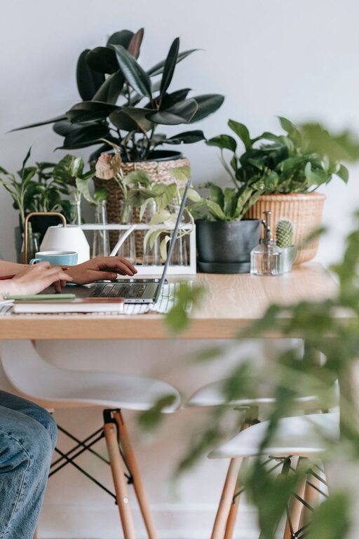 How to Create a Cozy and Productive Home Office Space